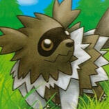 zigzagoon