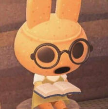 coco (animal crossing)